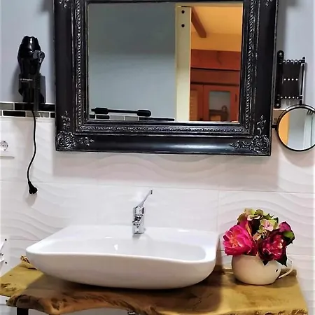 Apartament La Rosa Y El Pastor *